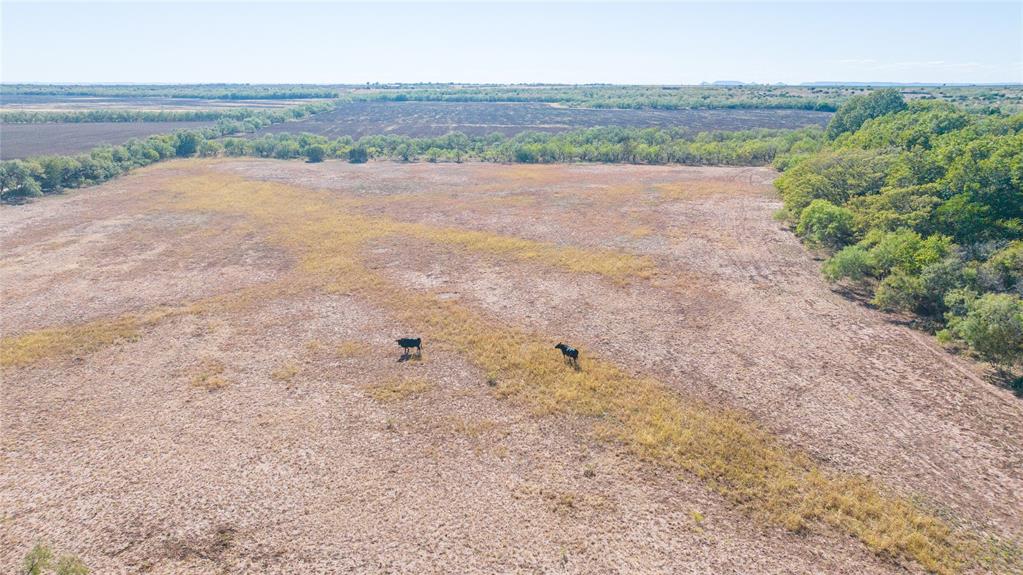 Tbd Cr 301 County Property Photo 18