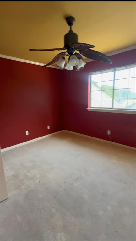 6542 Potomac Parkway Property Photo 14