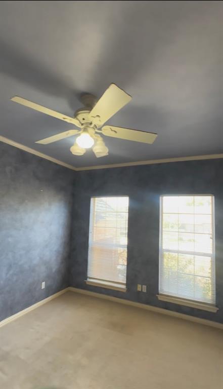 6542 Potomac Parkway Property Photo 15