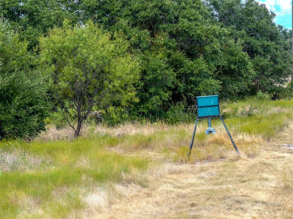 2240 Buck Ridge Road Property Photo 7