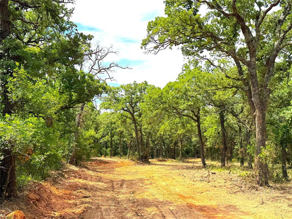 Tbd B Turpin Lake Road Property Photo 2
