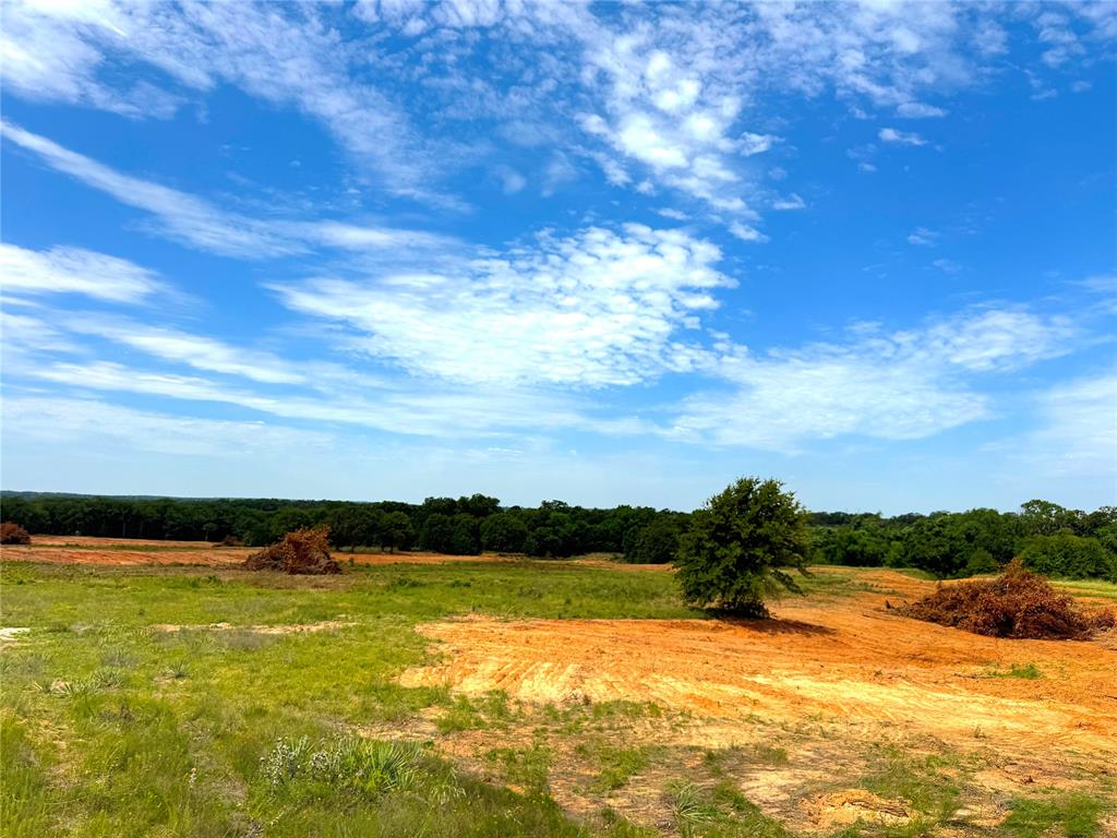 Tbd B Turpin Lake Road Property Photo 17