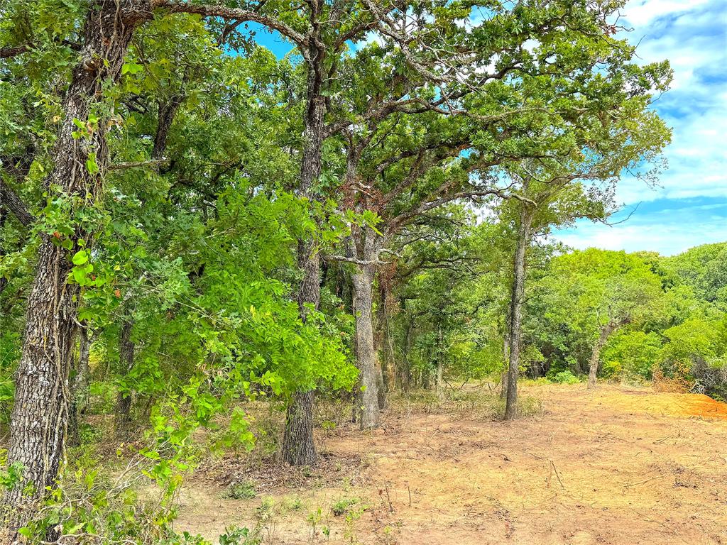 Tbd B Turpin Lake Road Property Photo 18