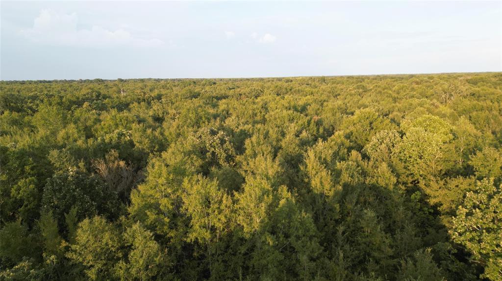 6671 Fm 1699 Property Photo 7