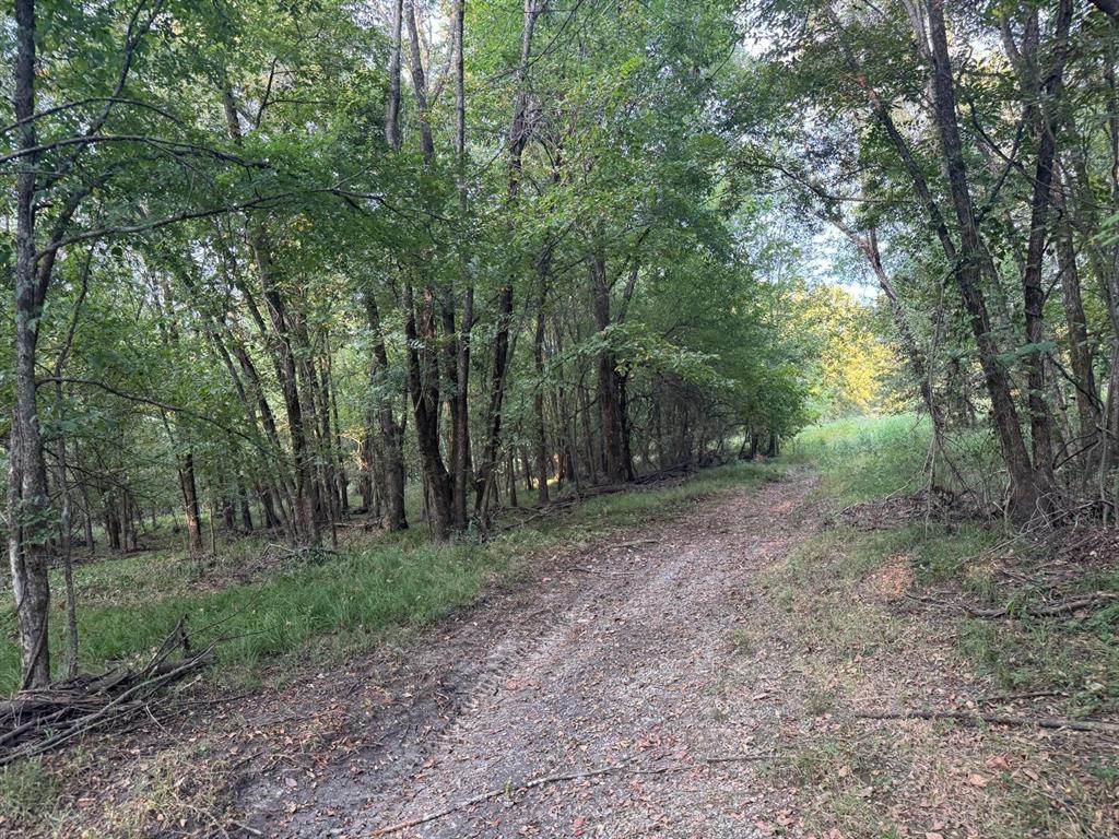 6671 Fm 1699 Property Photo 8
