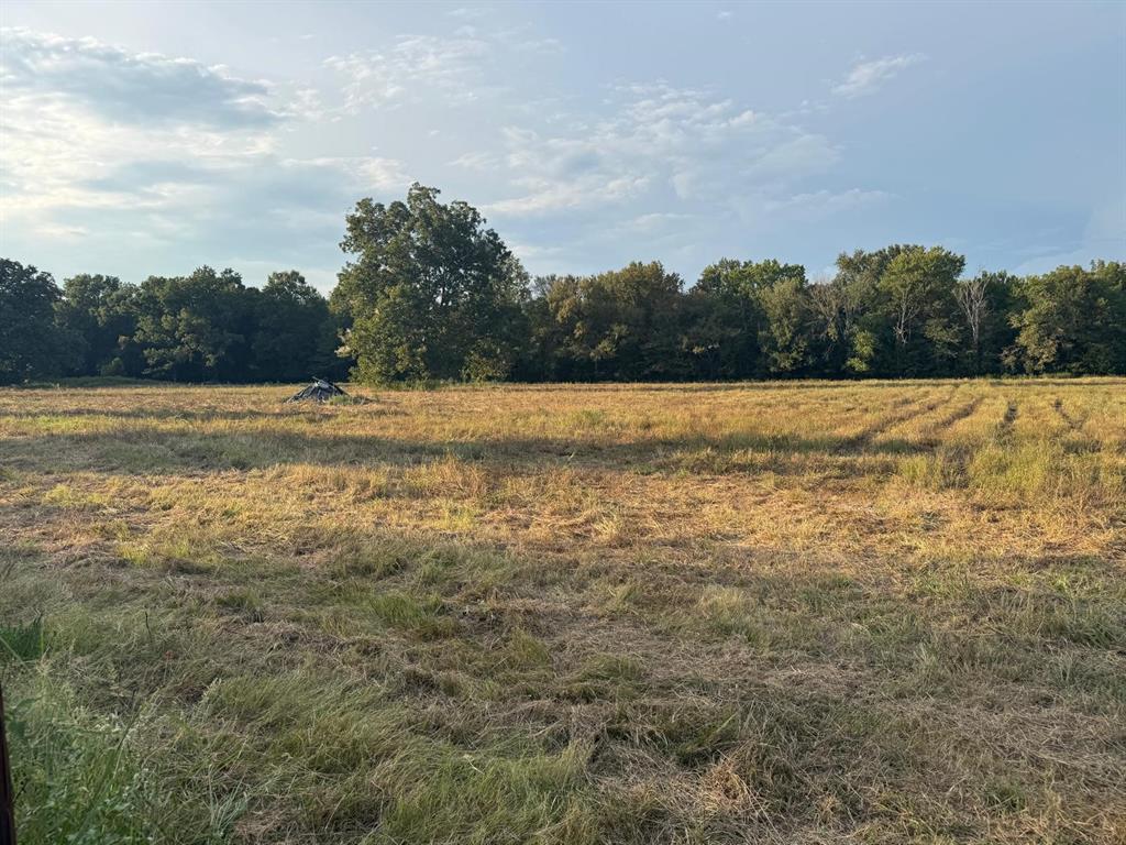 6671 Fm 1699 Property Photo 11