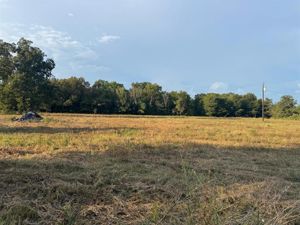 6671 Fm 1699 Property Photo 20