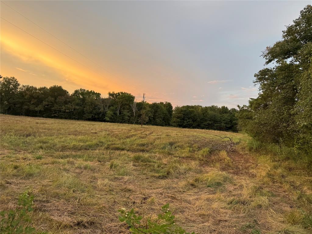 6671 Fm 1699 Property Photo 29