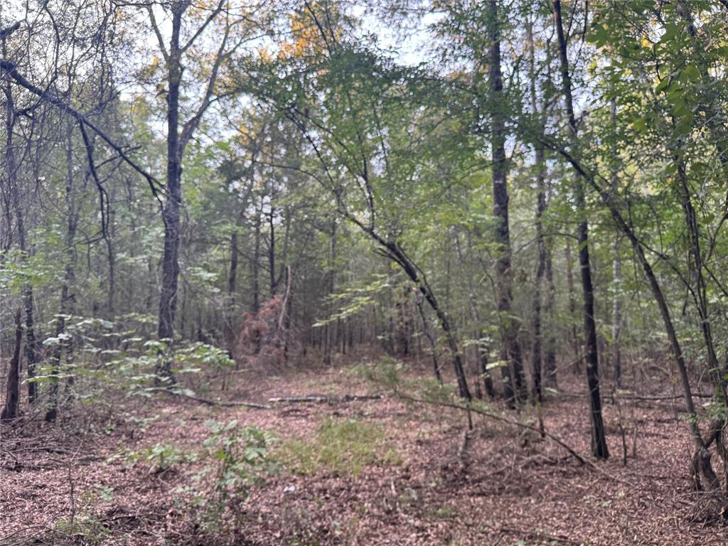 6671 Fm 1699 Property Photo 39