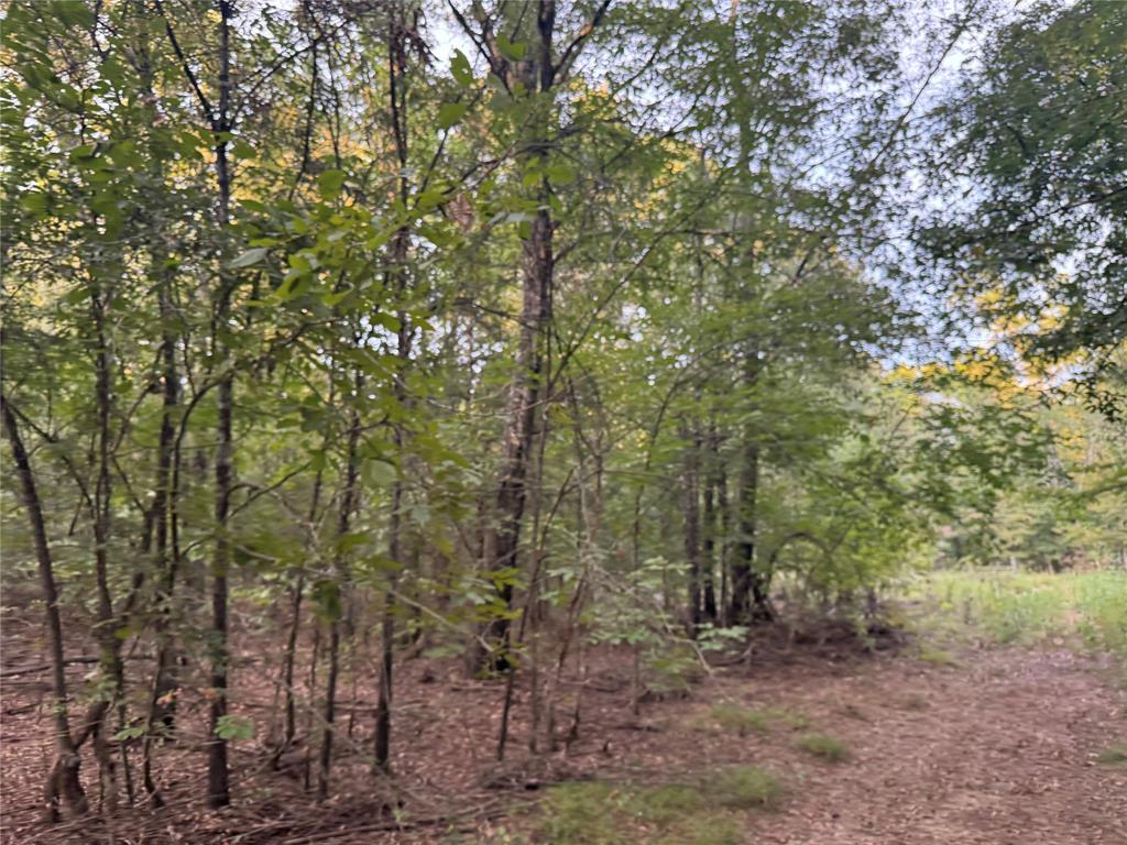 6671 Fm 1699 Property Photo 40