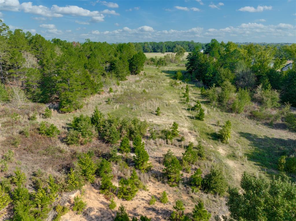 0 Corrigan Trails Boulevard Property Photo 12