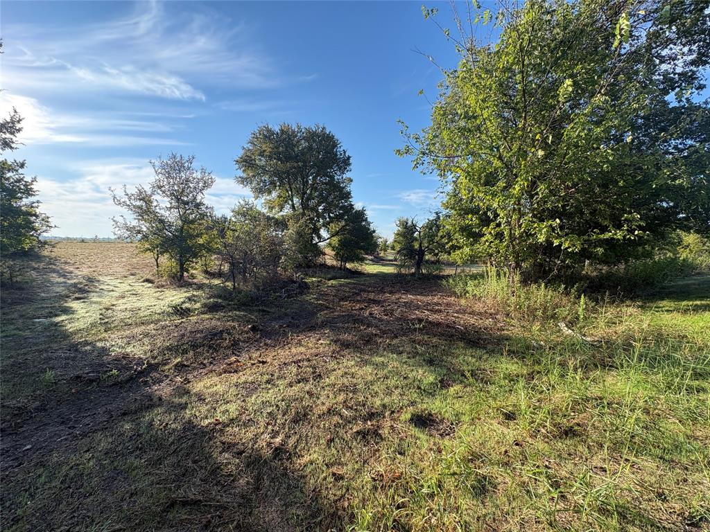 7943 Lax Drive Property Photo 2