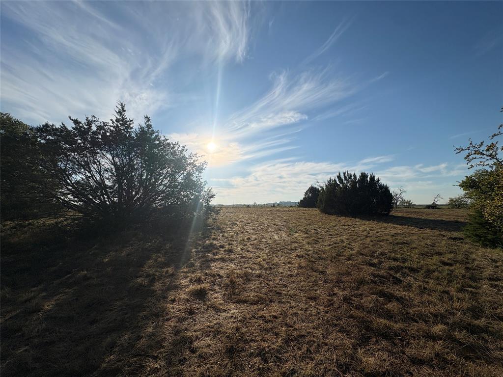 7943 Lax Drive Property Photo 3