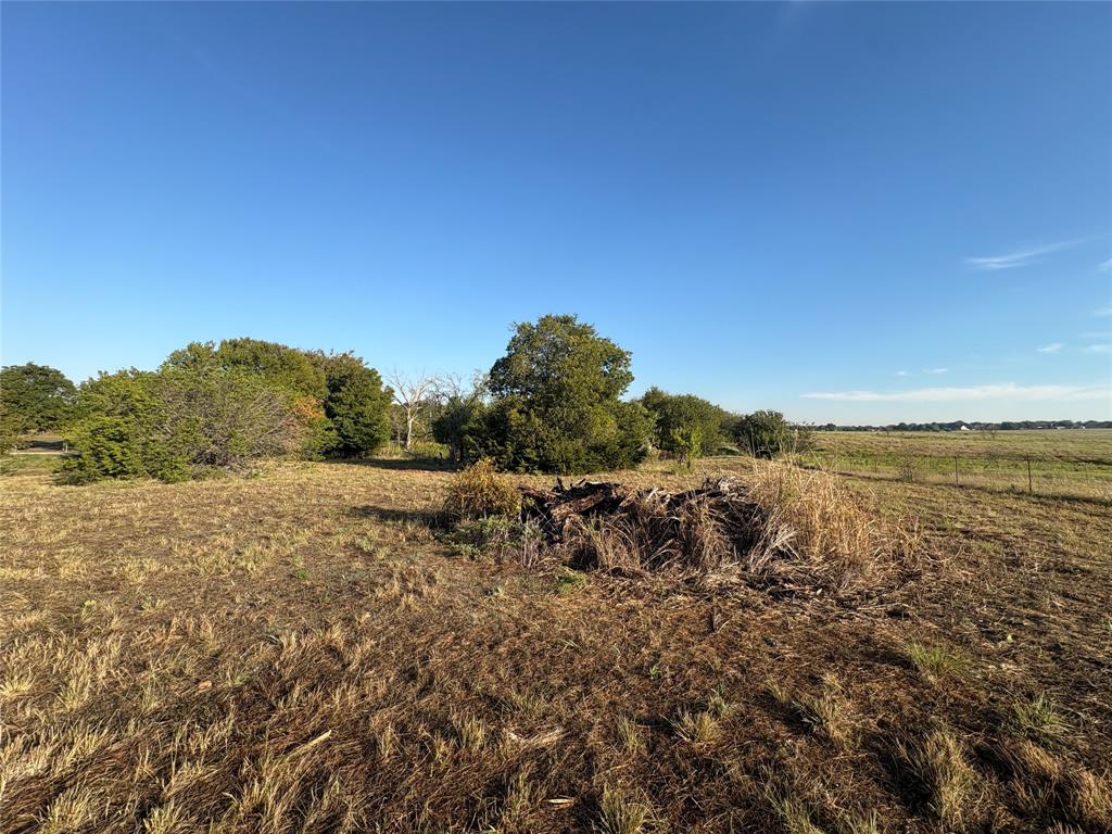 7943 Lax Drive Property Photo 7
