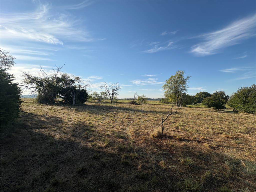 7943 Lax Drive Property Photo 8