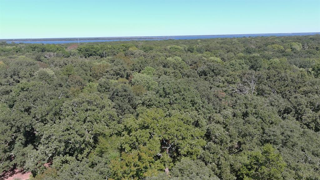 11015 Lakeview Drive Property Photo 8