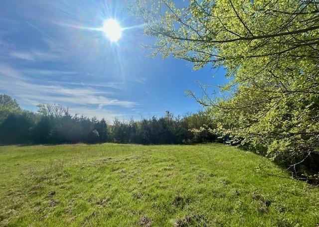 Tbd Fm 1512 Property Photo 4