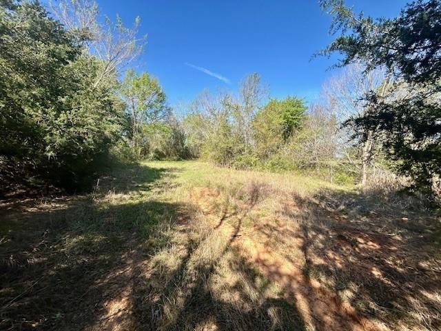 Tbd Fm 1512 Property Photo 12