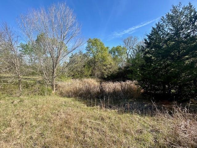 Tbd Fm 1512 Property Photo 13
