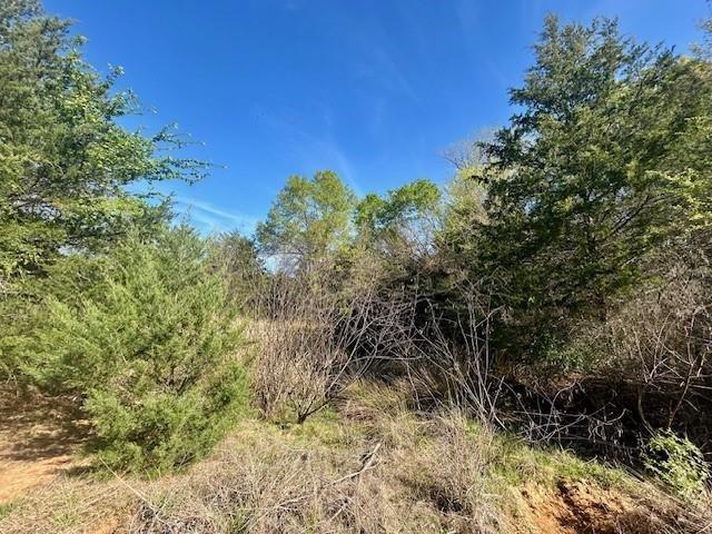 Tbd Fm 1512 Property Photo 15