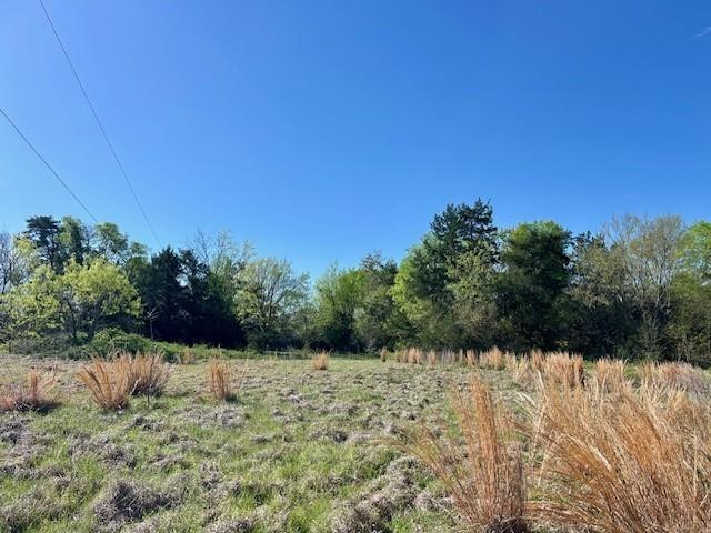 Tbd Fm 1512 Property Photo 19