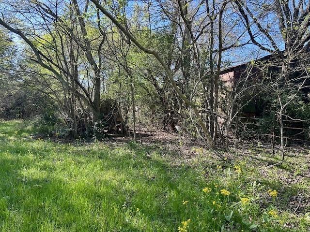Tbd Fm 1512 Property Photo 25