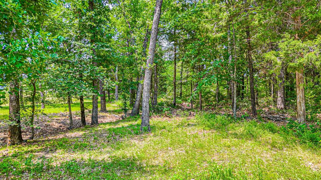 Lot 441 Waters Edge Property Photo 6