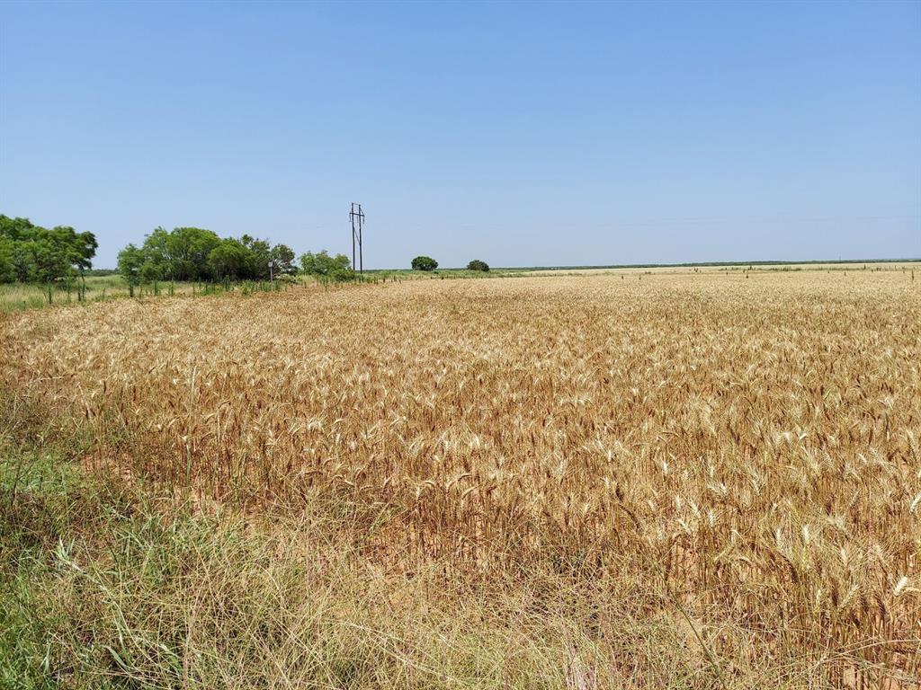 Cr 134 County Road Property Photo 4
