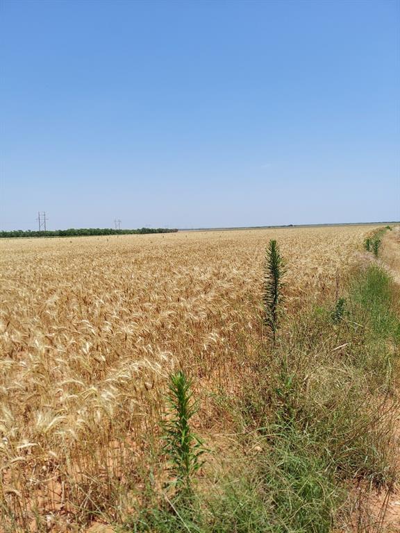Cr 134 County Road Property Photo 10