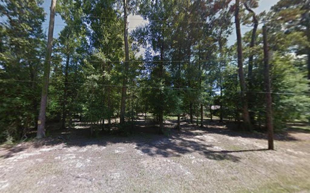 238 County Road 441 Property Photo 2