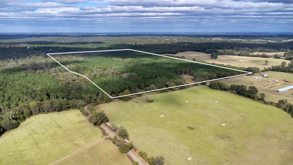 Tbd Wolf Road Property Photo 1