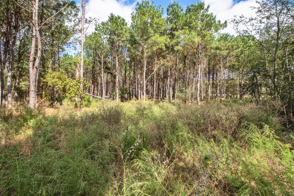 Tbd Wolf Road Property Photo 3