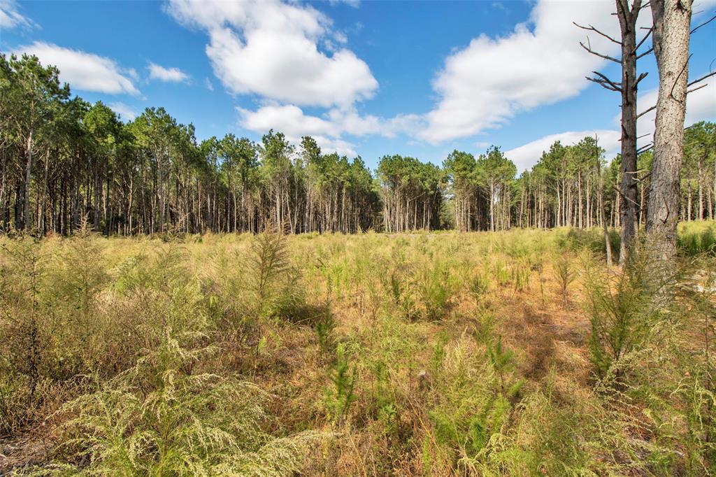 Tbd Wolf Road Property Photo 4