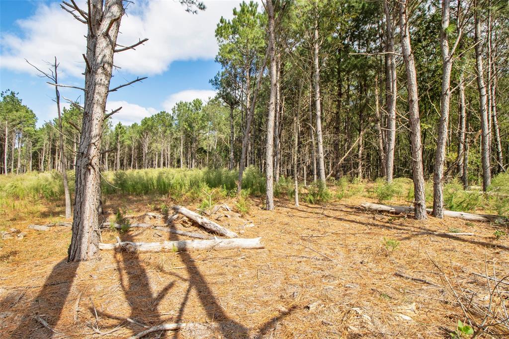 Tbd Wolf Road Property Photo 5