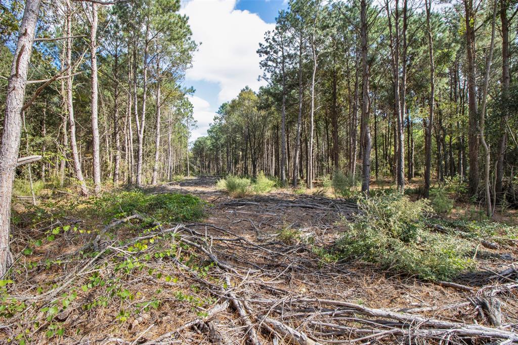 Tbd Wolf Road Property Photo 9