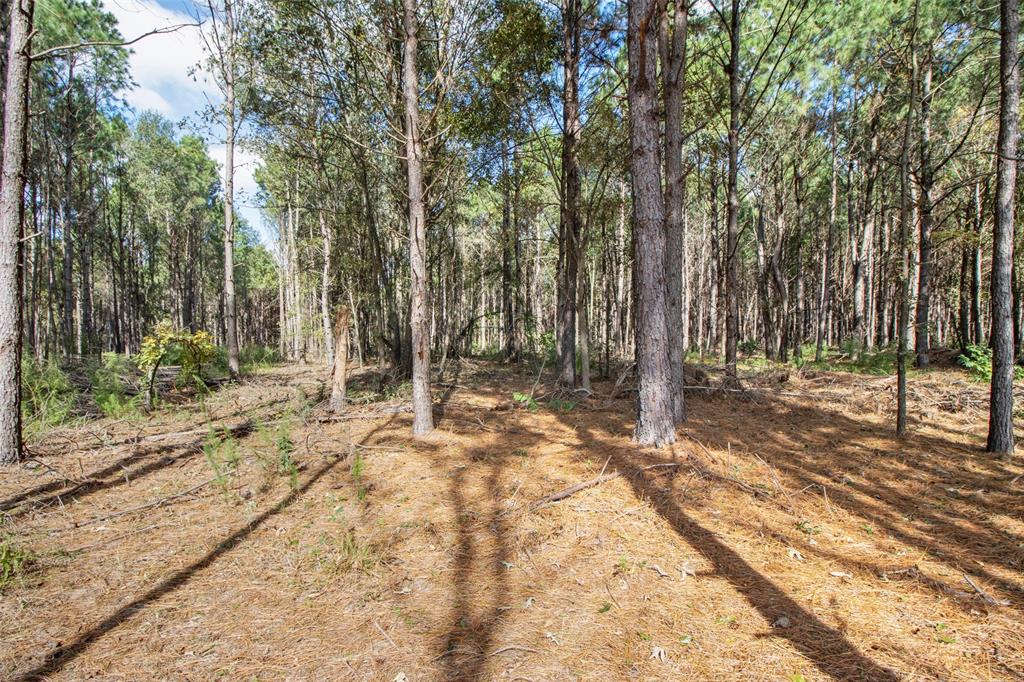 Tbd Wolf Road Property Photo 10