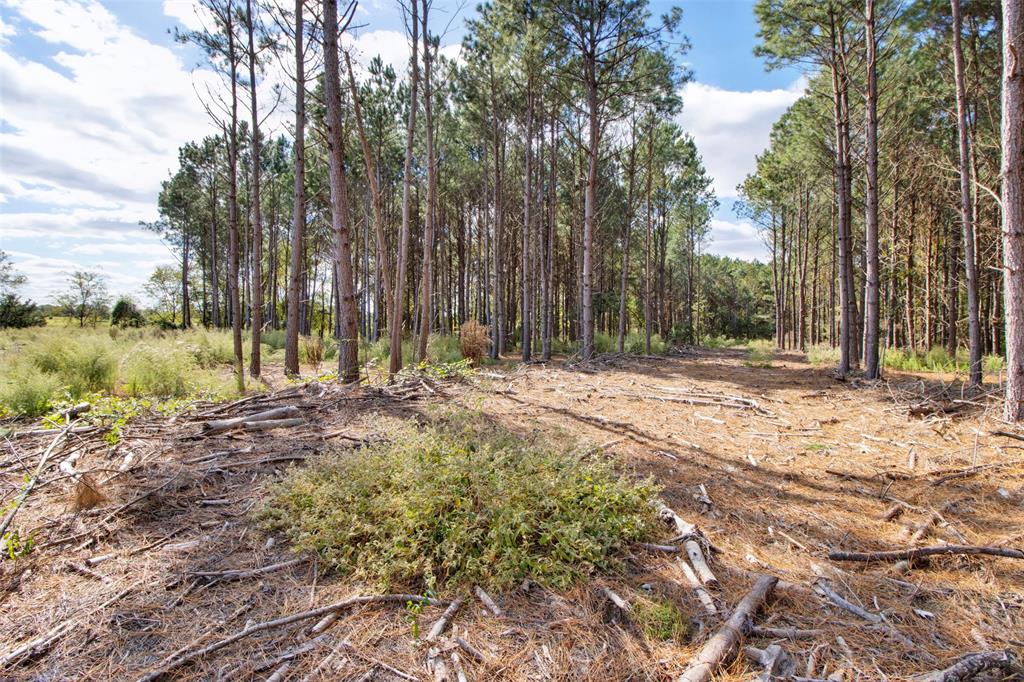Tbd Wolf Road Property Photo 11