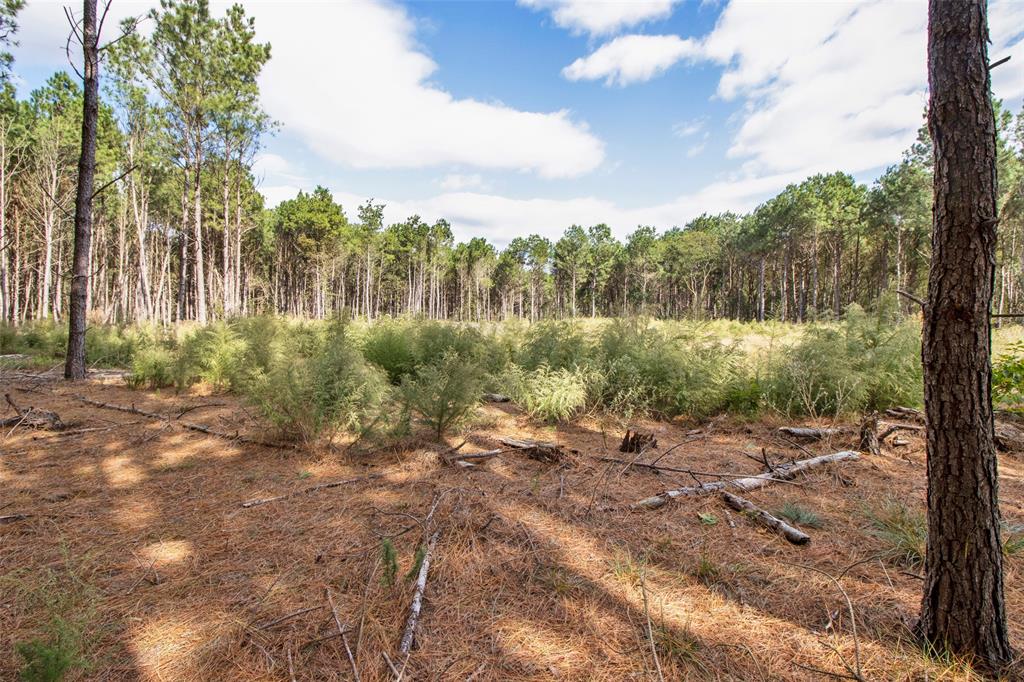 Tbd Wolf Road Property Photo 12
