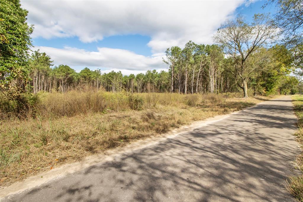 Tbd Wolf Road Property Photo 13