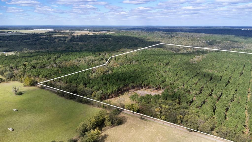 Tbd Wolf Road Property Photo 16