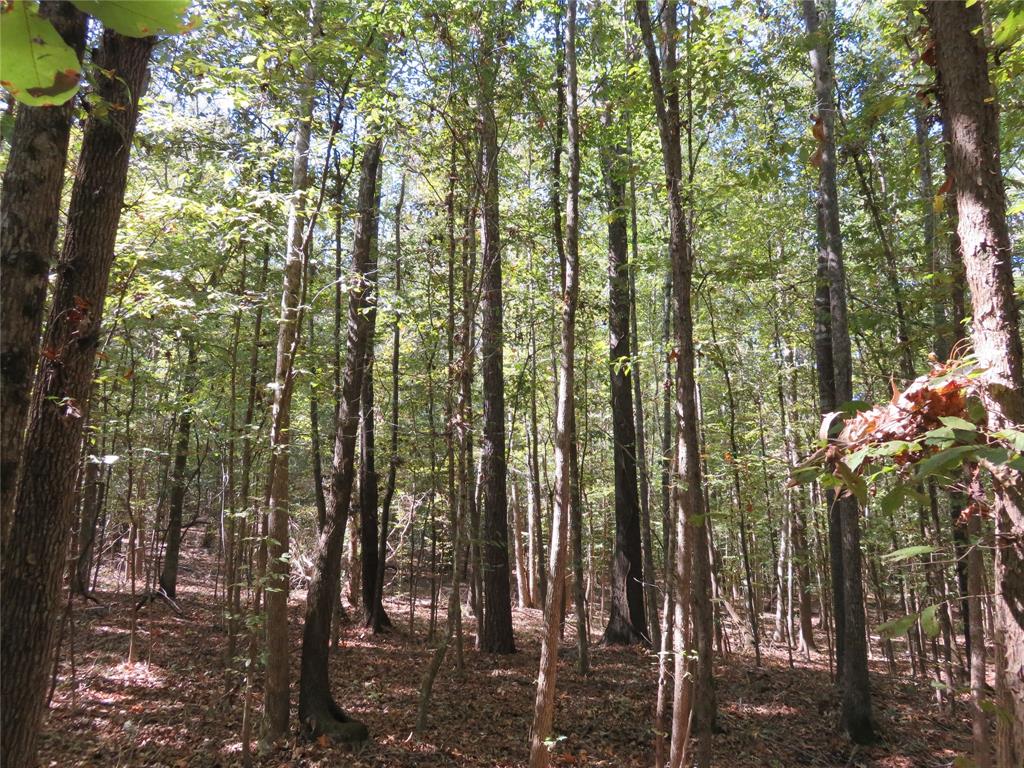 21471 N Fm 95 Property Photo 1