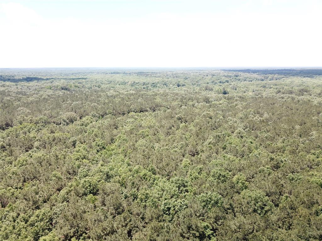 00 County Road 4223 Property Photo 15