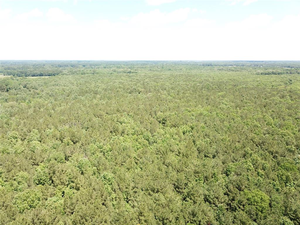 00 County Road 4223 Property Photo 19