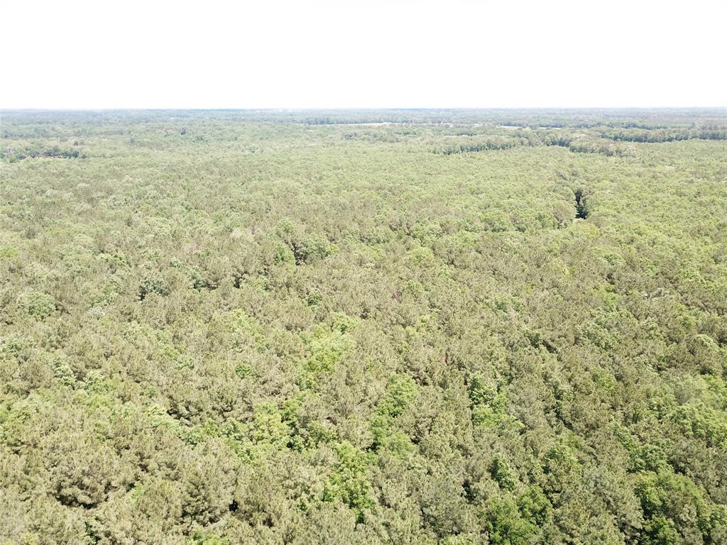00 County Road 4223 Property Photo 21