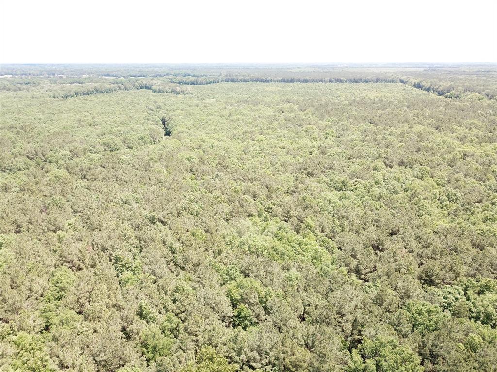 00 County Road 4223 Property Photo 22