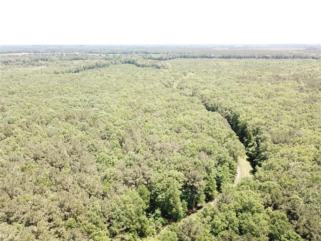 00 County Road 4223 Property Photo 23