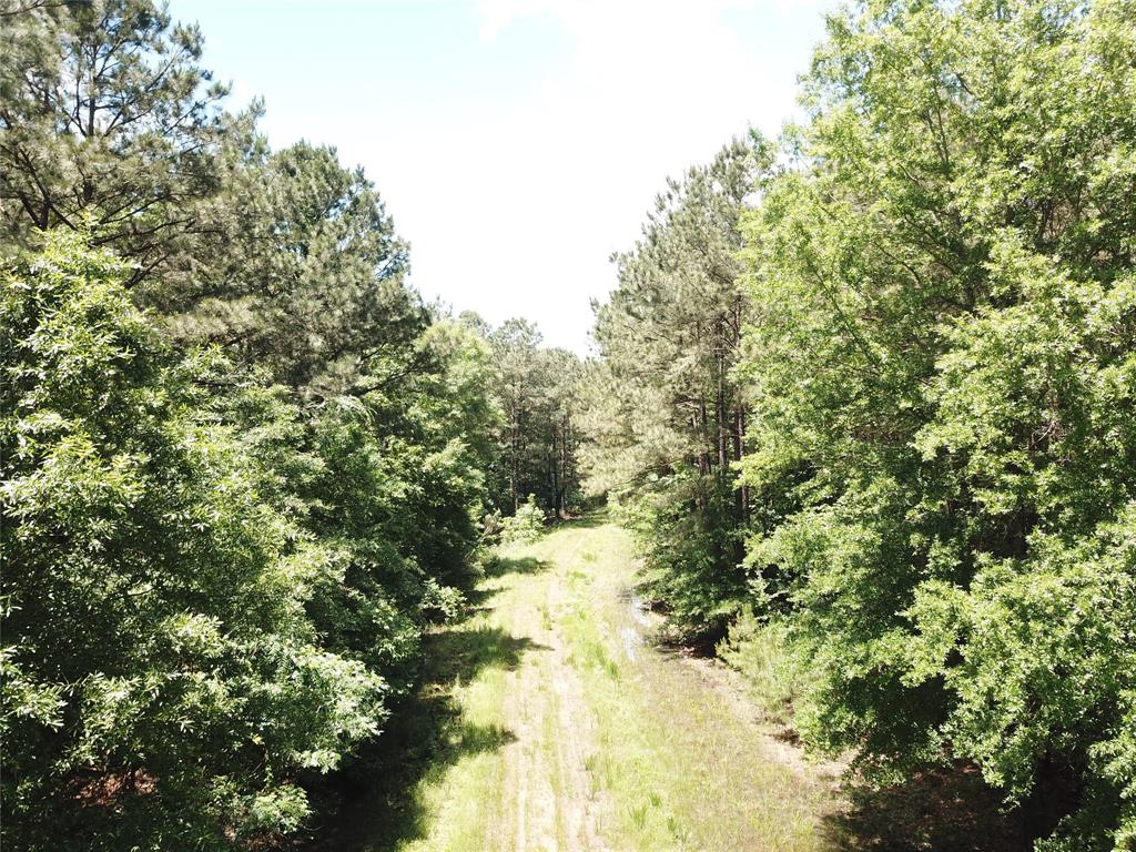 00 County Road 4223 Property Photo 24