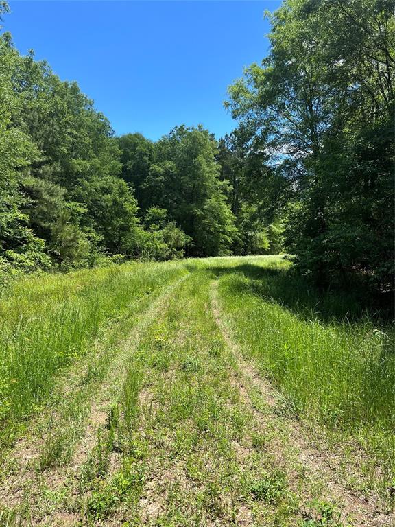 00 County Road 4223 Property Photo 25