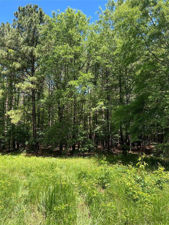 00 County Road 4223 Property Photo 26