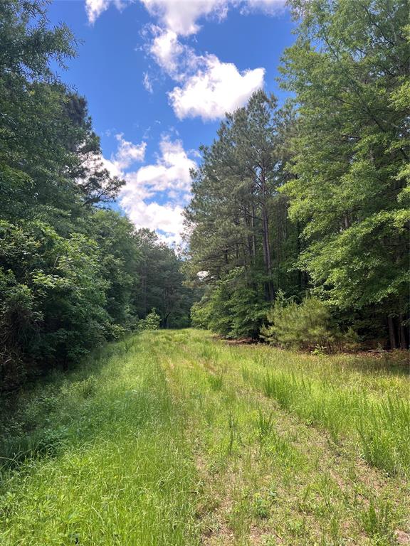 00 County Road 4223 Property Photo 27
